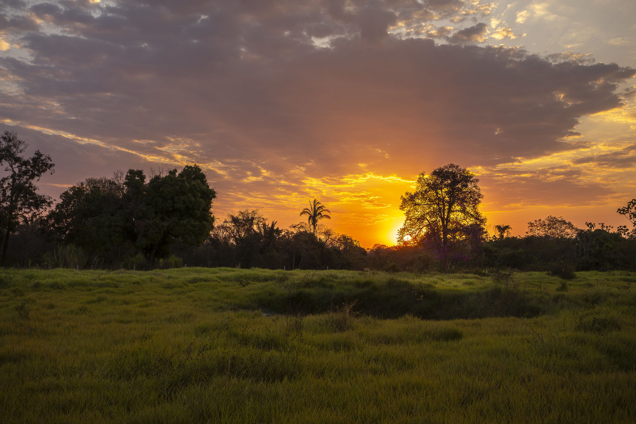 Imagem Expedição Chap Guim - ESEC Serra das Araras--64 da expedição de expedicoes/araras_25